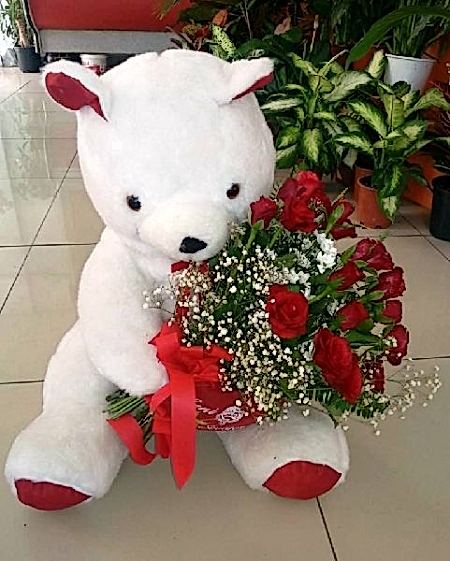 Peluş Ayıcık Kucağında 15 Tane Gül