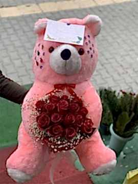 Pembe Peluş Ayıcık Ve Güller