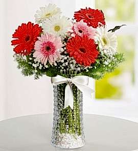 Cam Vazoda Gerbera Arajmanı