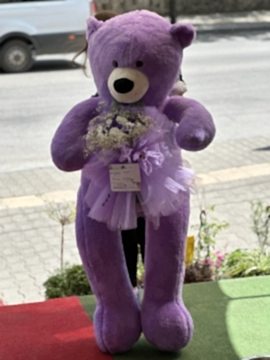 Peluş Ayıcık