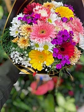 Renkli Gerbera & Papatya Buketi