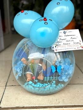 Bebek Teraryum Büyük Elma Cam